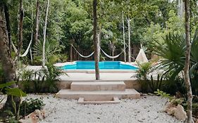 Lunita Jungle Experience
