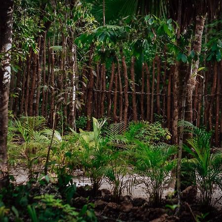 Hotel Lunita Jungle Experience Puerto Morelos Esterno foto