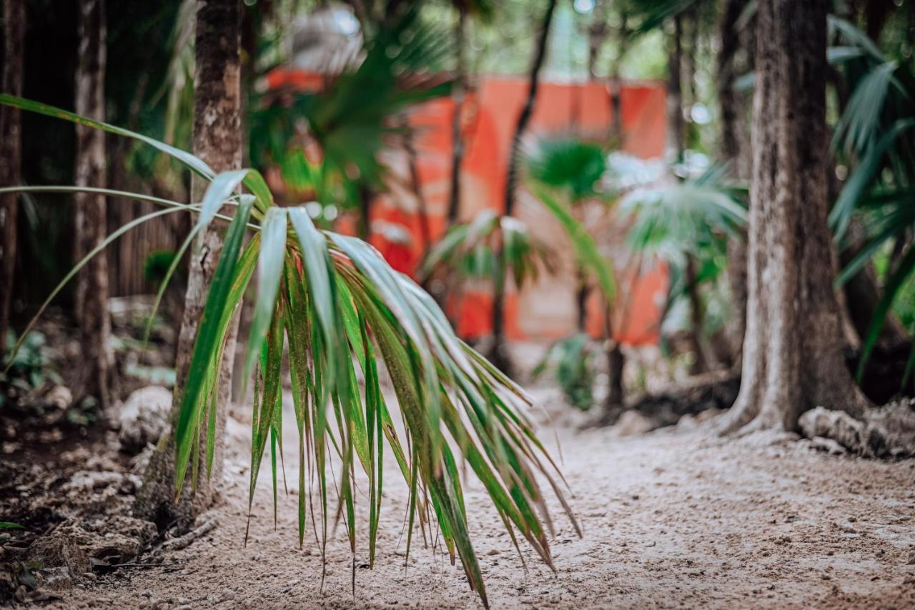 Hotel Lunita Jungle Experience Puerto Morelos Esterno foto