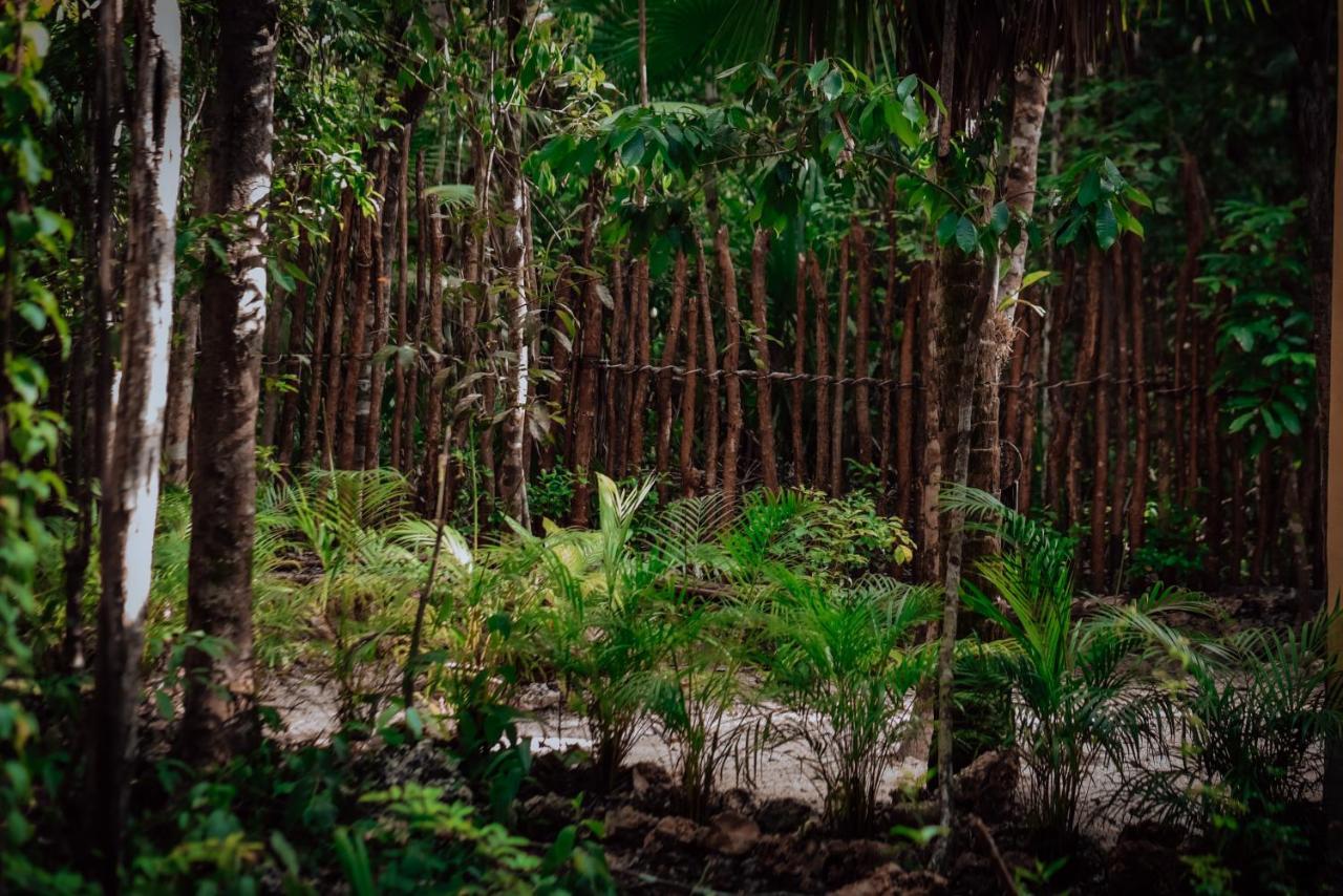 Hotel Lunita Jungle Experience Puerto Morelos Esterno foto